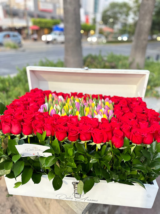 Cofre Tulipán Jumbo