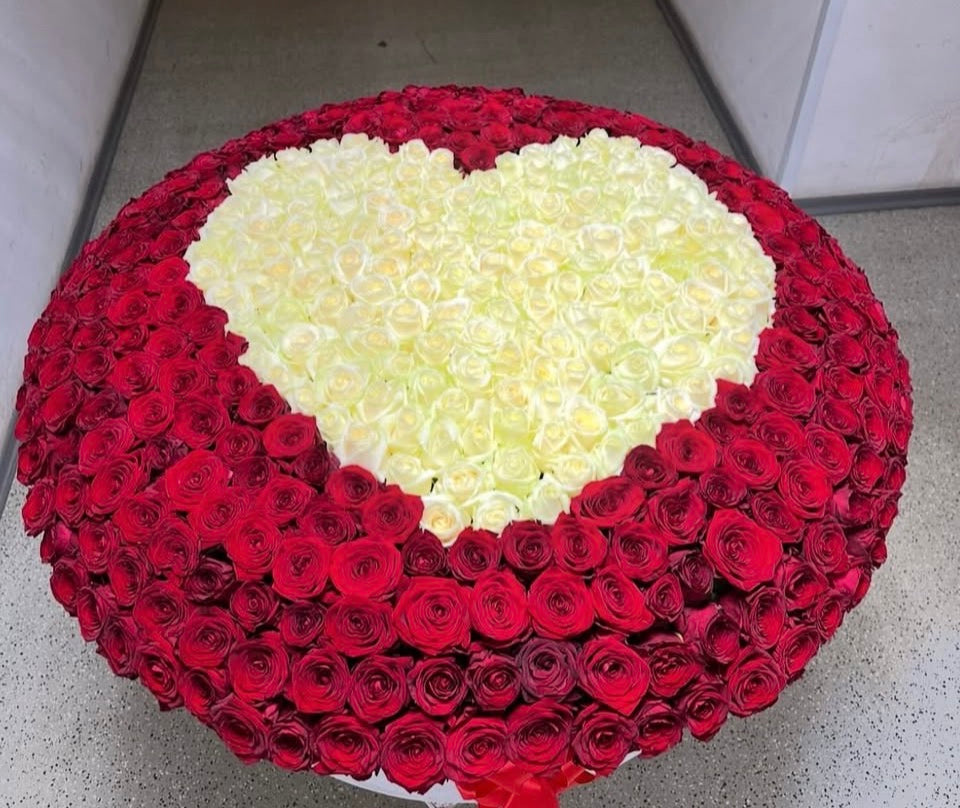 Caja Circular Gigante 600 Rosas