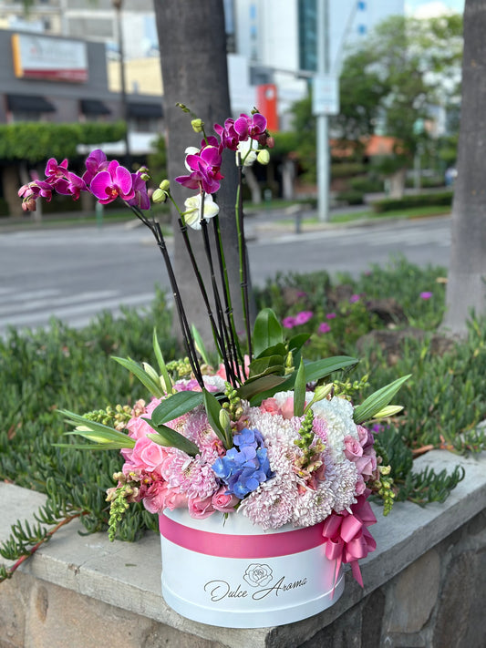 Caja Circular Esfera Cielo