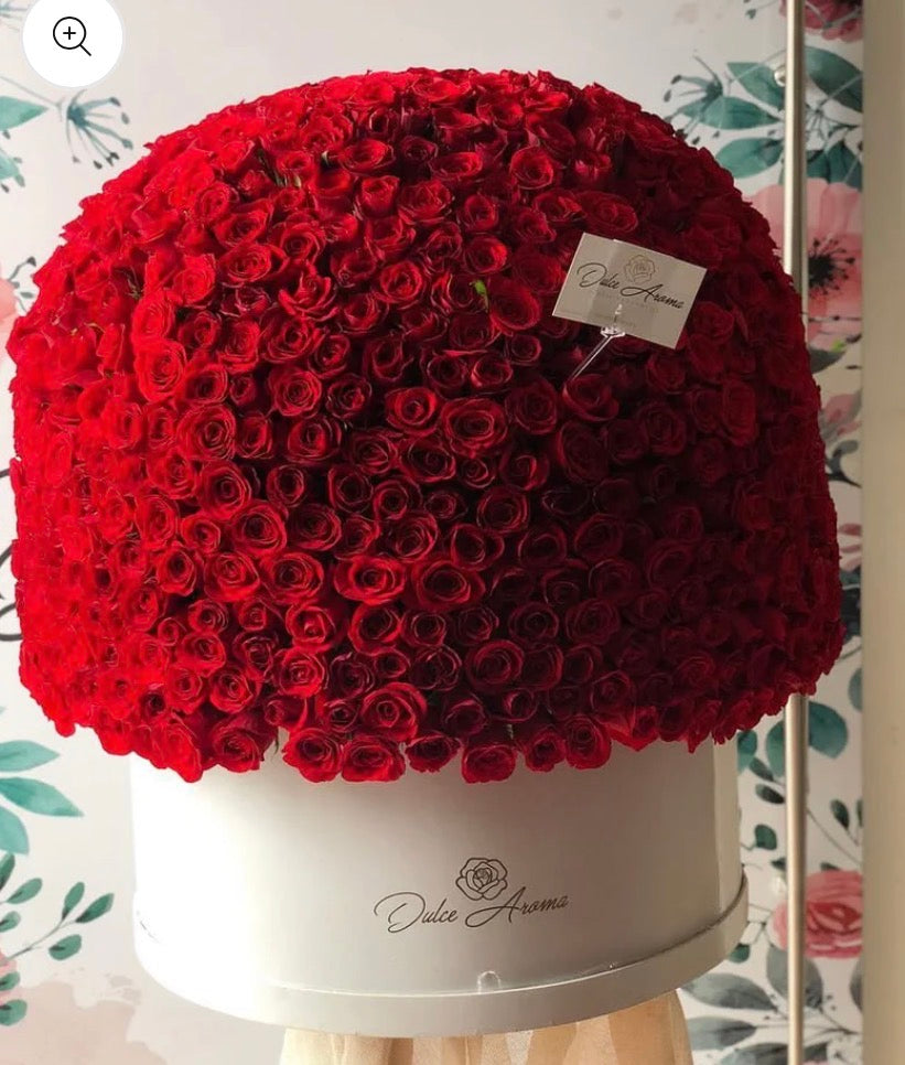 Cilindro Esfera 1000 rosas