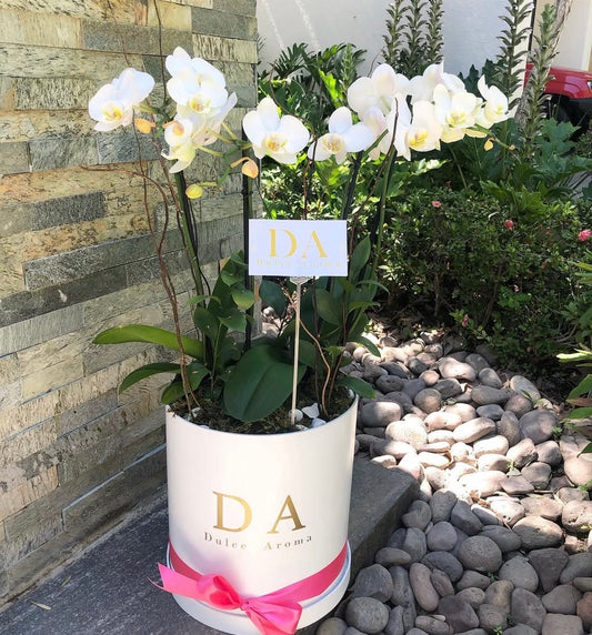 Cilindro Orquídeas Grande