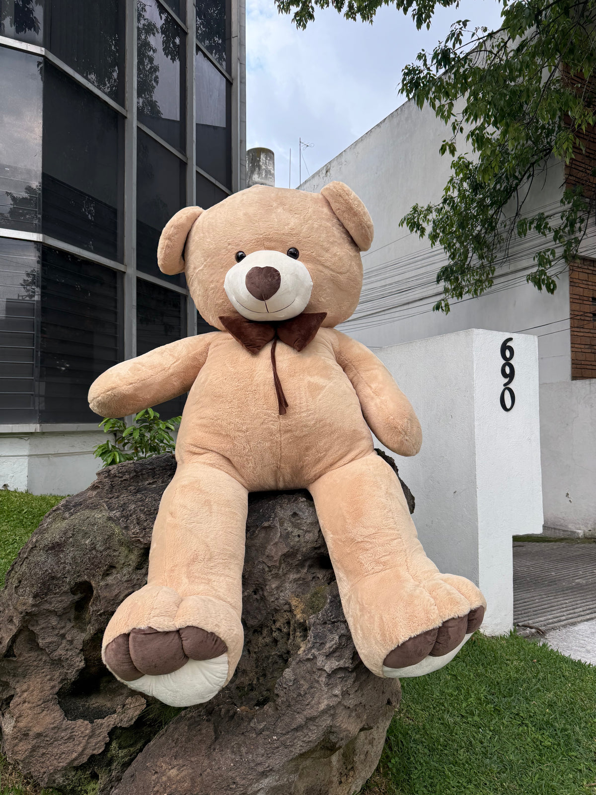 Peluche Oso 3 Metros