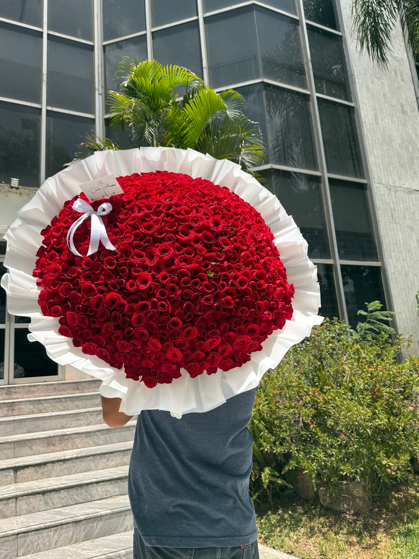 Ramo 500 rosas