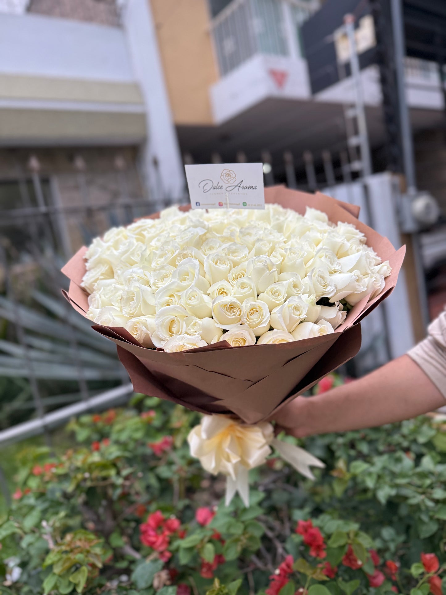 Ramo 100 rosas