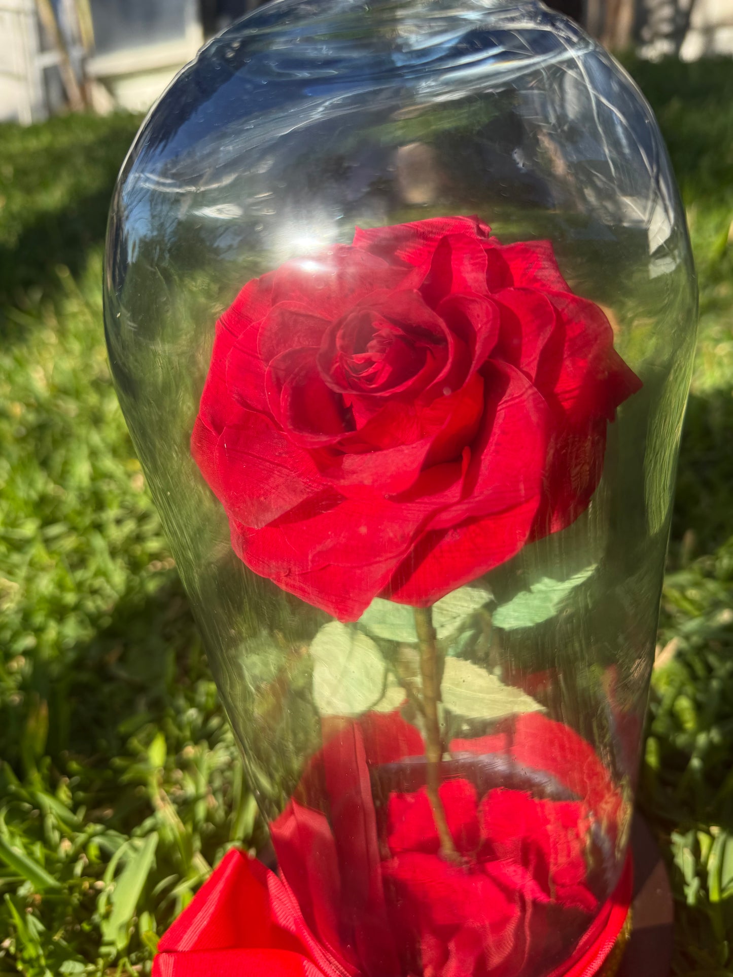 Rosa Eterna Roja Grande