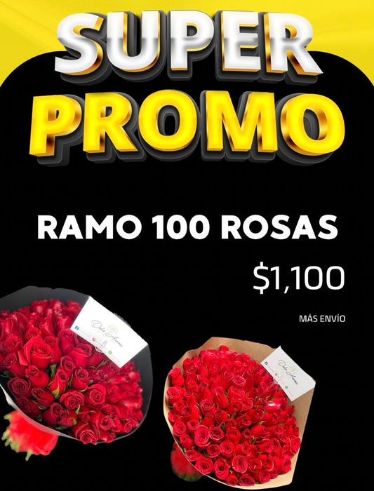 Promoción Especial