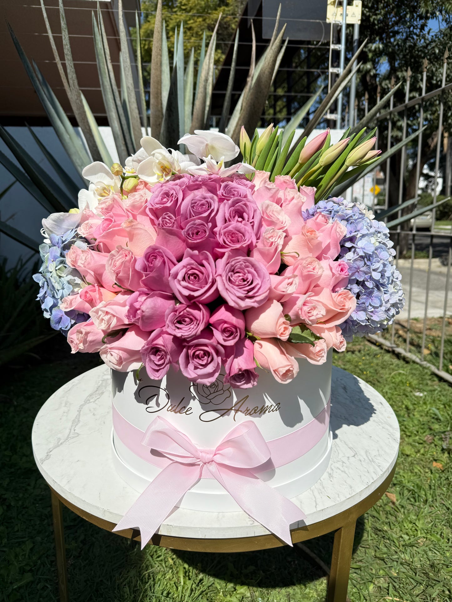 Caja Circular Valentina SV