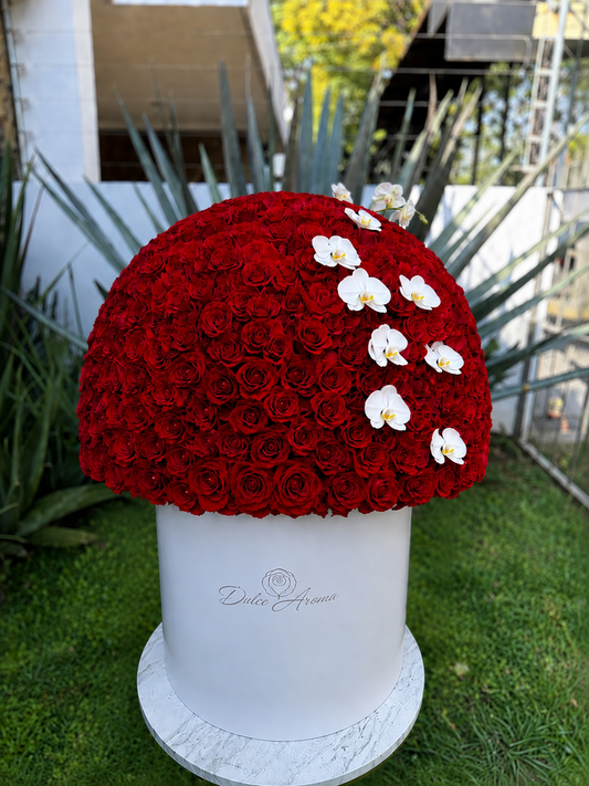 Esfera 400 rosas y orquídeas