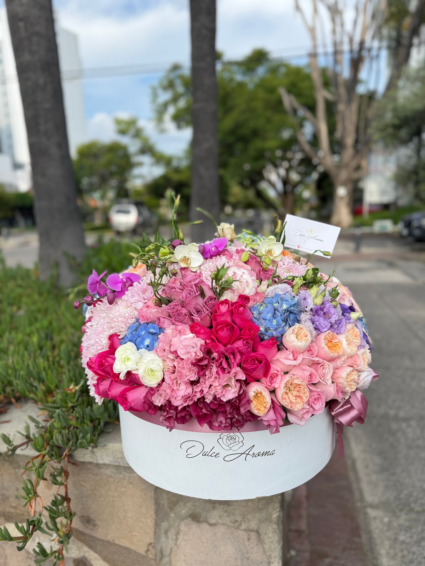 Caja Circular Inglesa