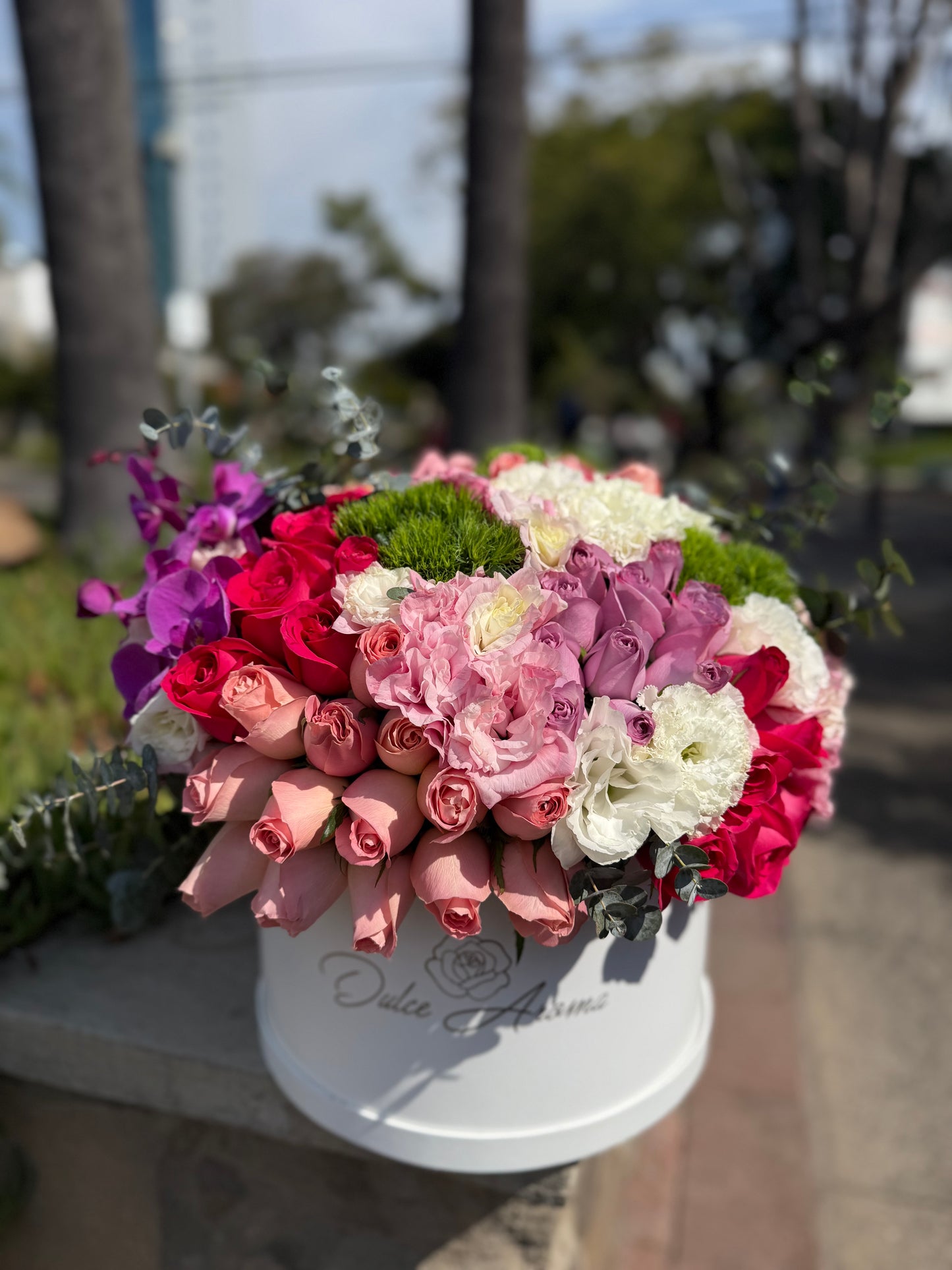 Caja Circular Media Esfera Jardín Prestige