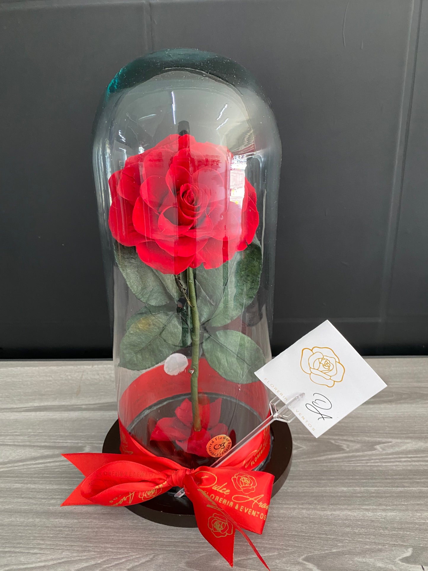 Rosa Eterna Roja Chica