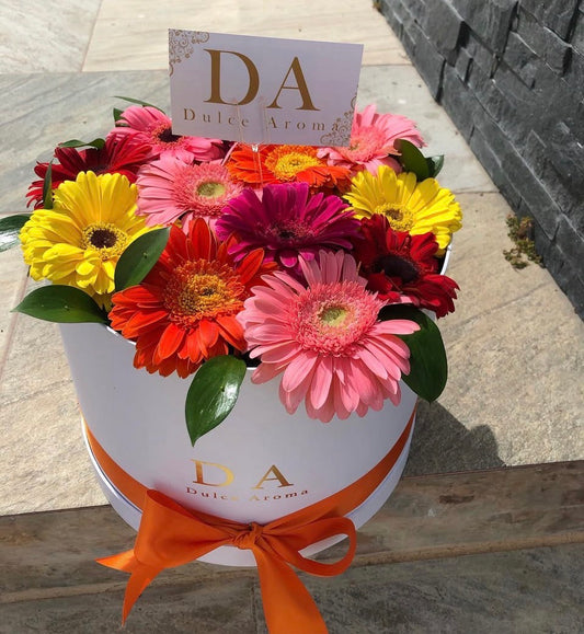 Caja Circular Gerberas Coloridas