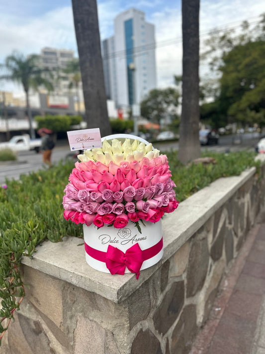 Media Esfera Arcoiris