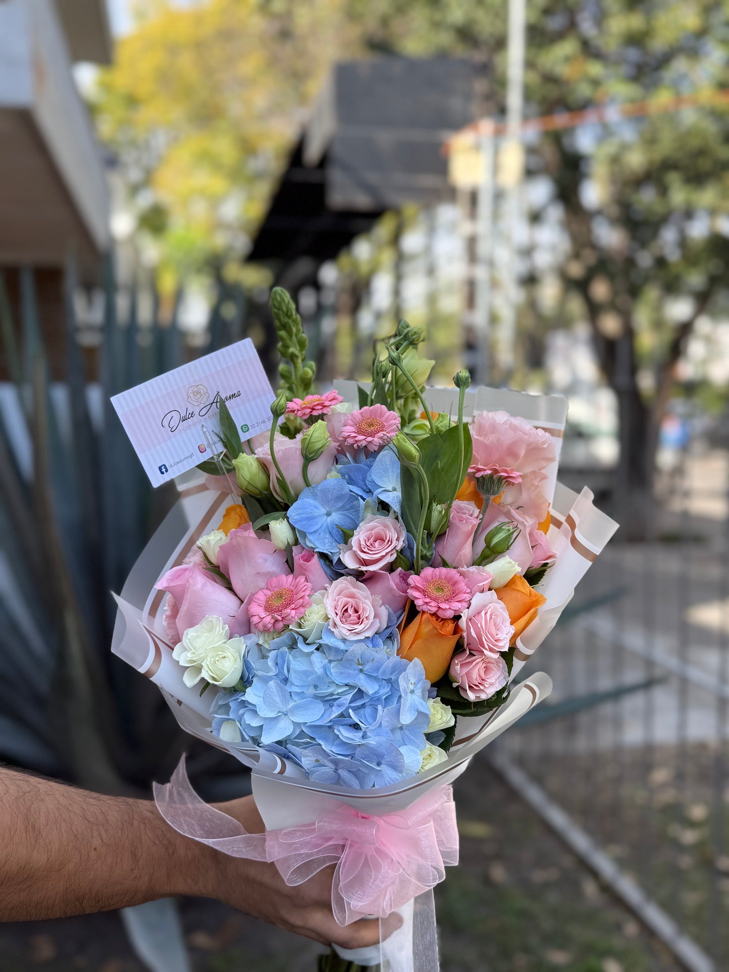Ramo blue Pink