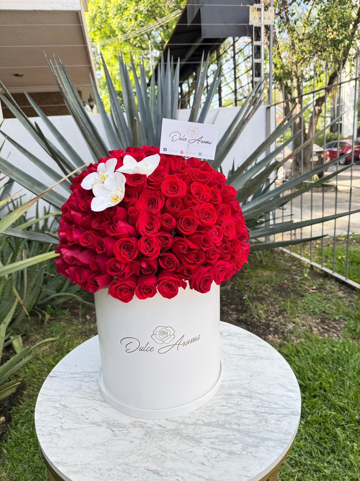 Esfera rosas y orquídea