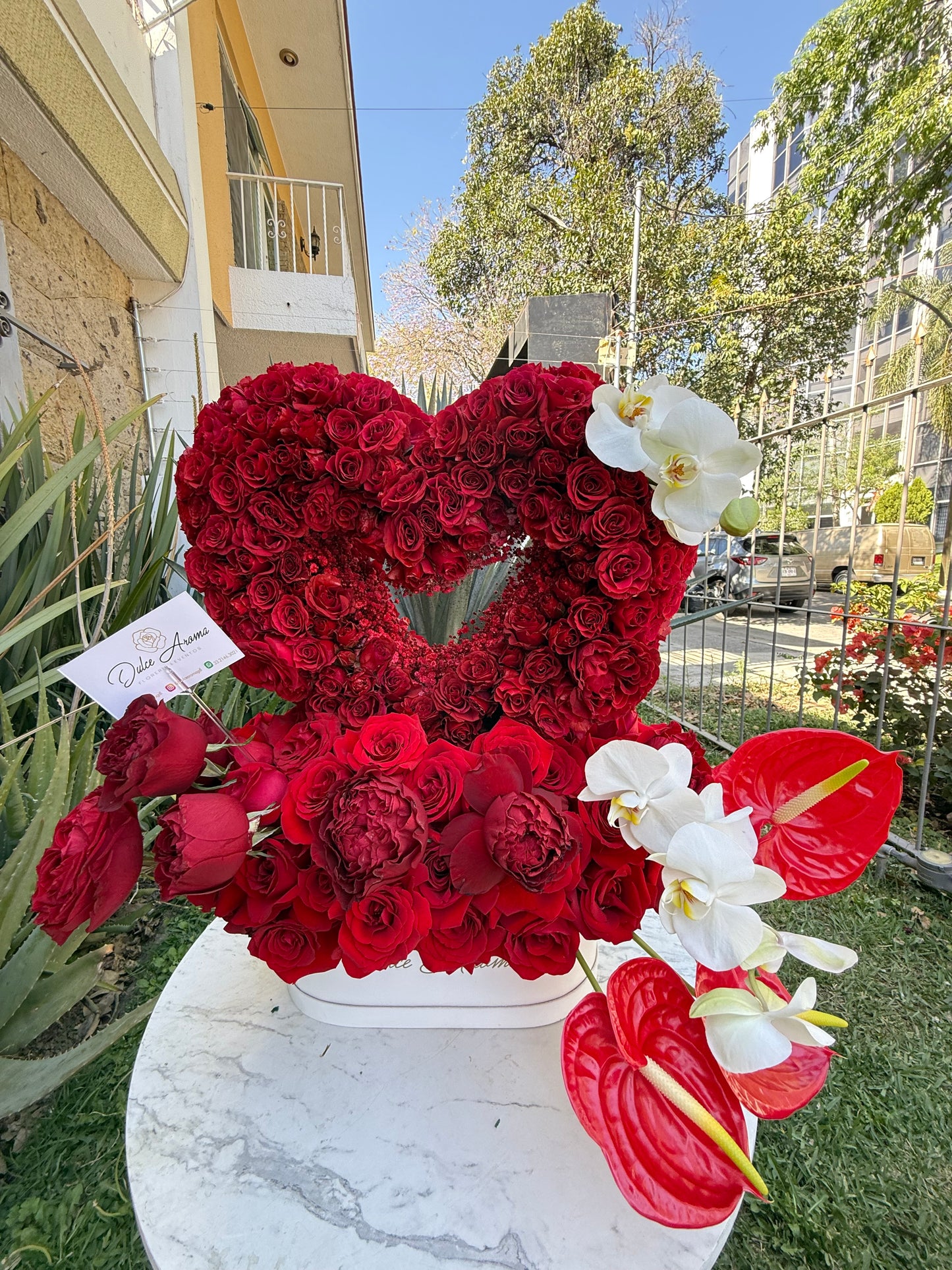 Diseño Corazón Deluxe