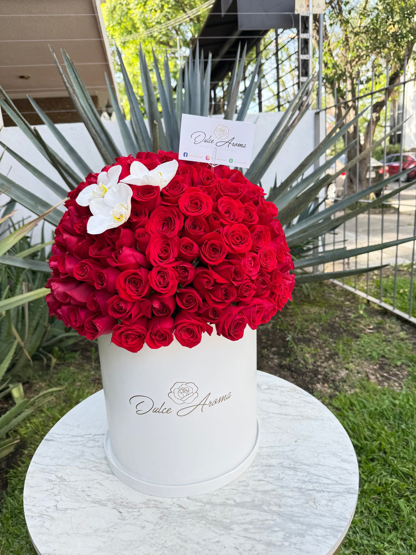 Esfera rosas y orquídea
