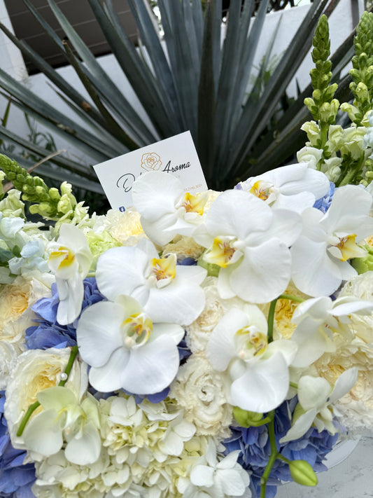 Diseño Perfecta Blue