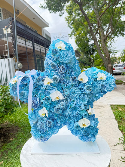 Estrella Cielo Azul