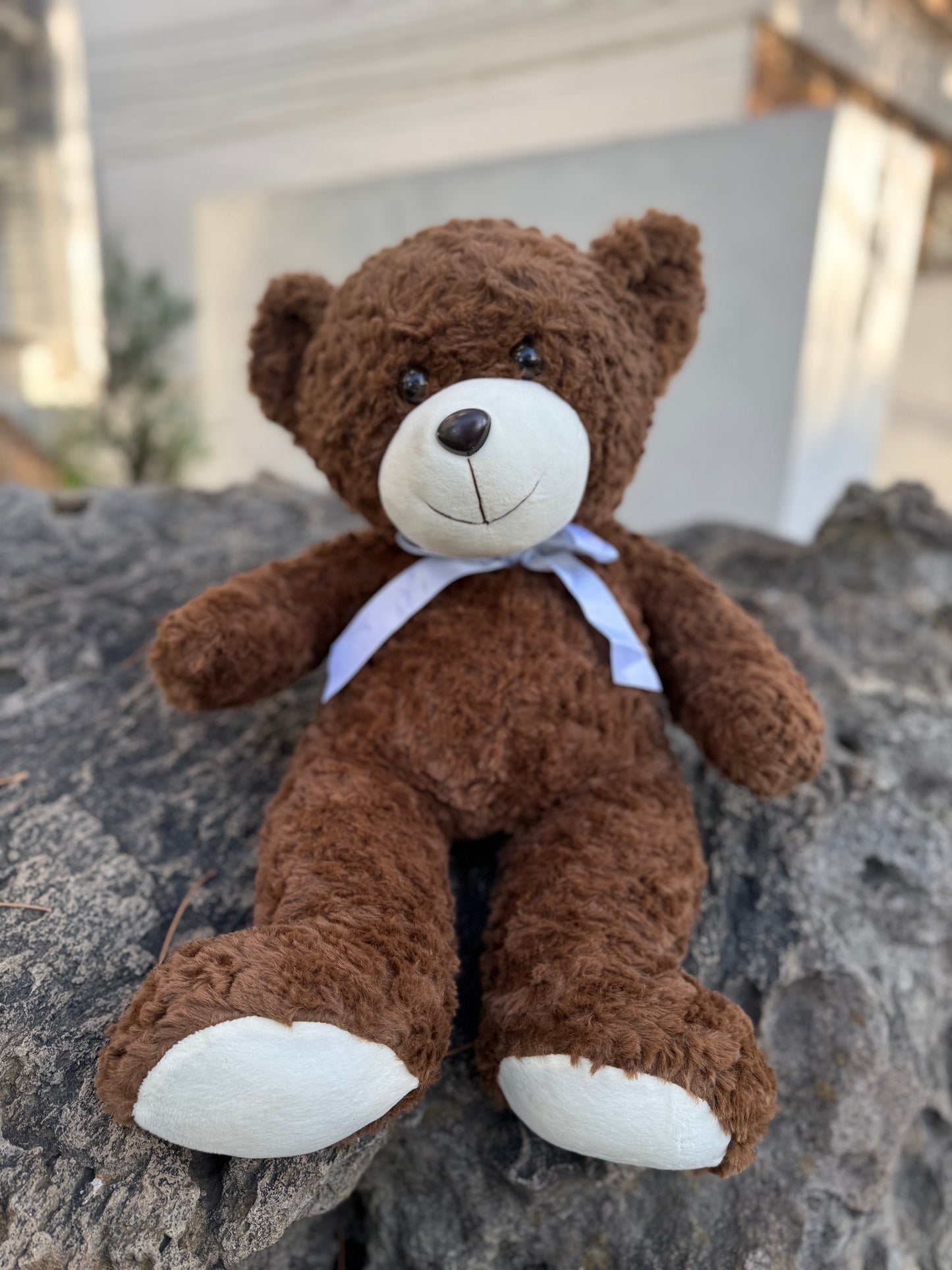 Peluche Oso Clásico