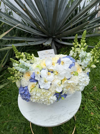 Diseño Perfecta Blue