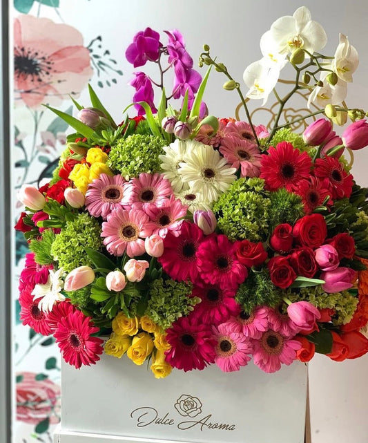 Caja Cuadrada Colorida