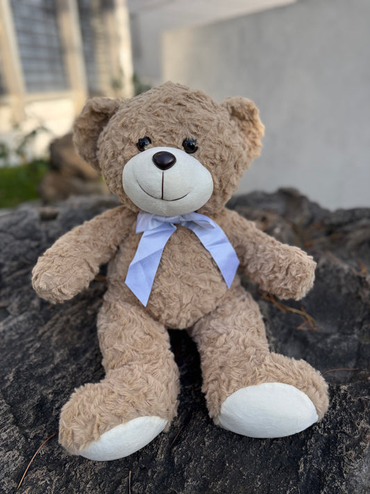Peluche Oso Clásico