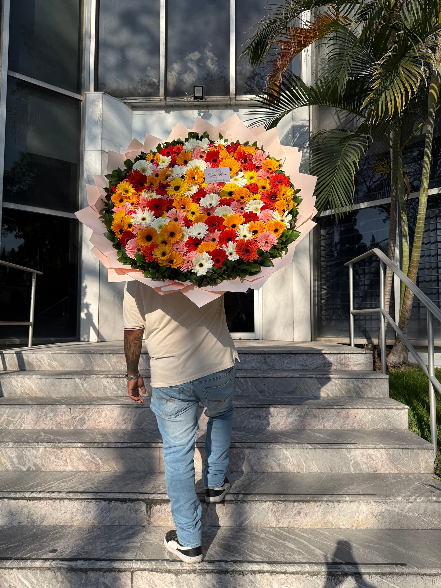 Ramo gerberas (100)