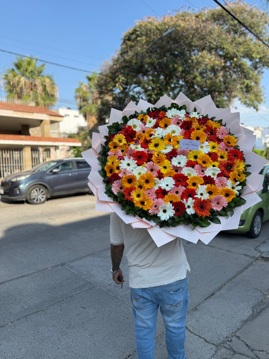 Ramo gerberas (100)