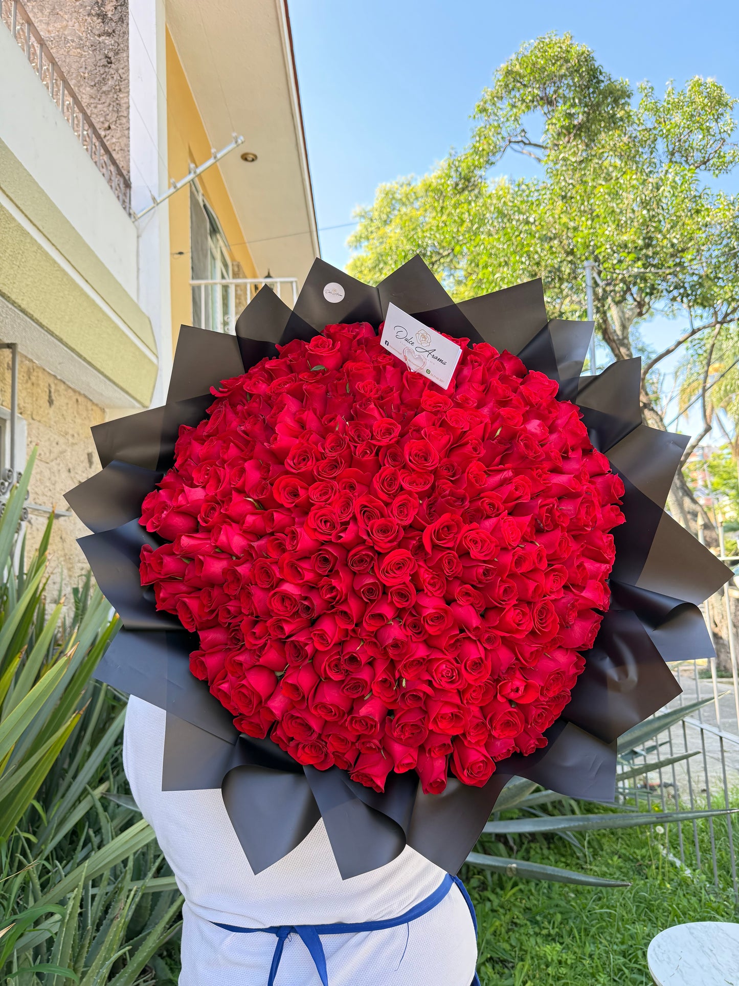Ramo 250 rosas