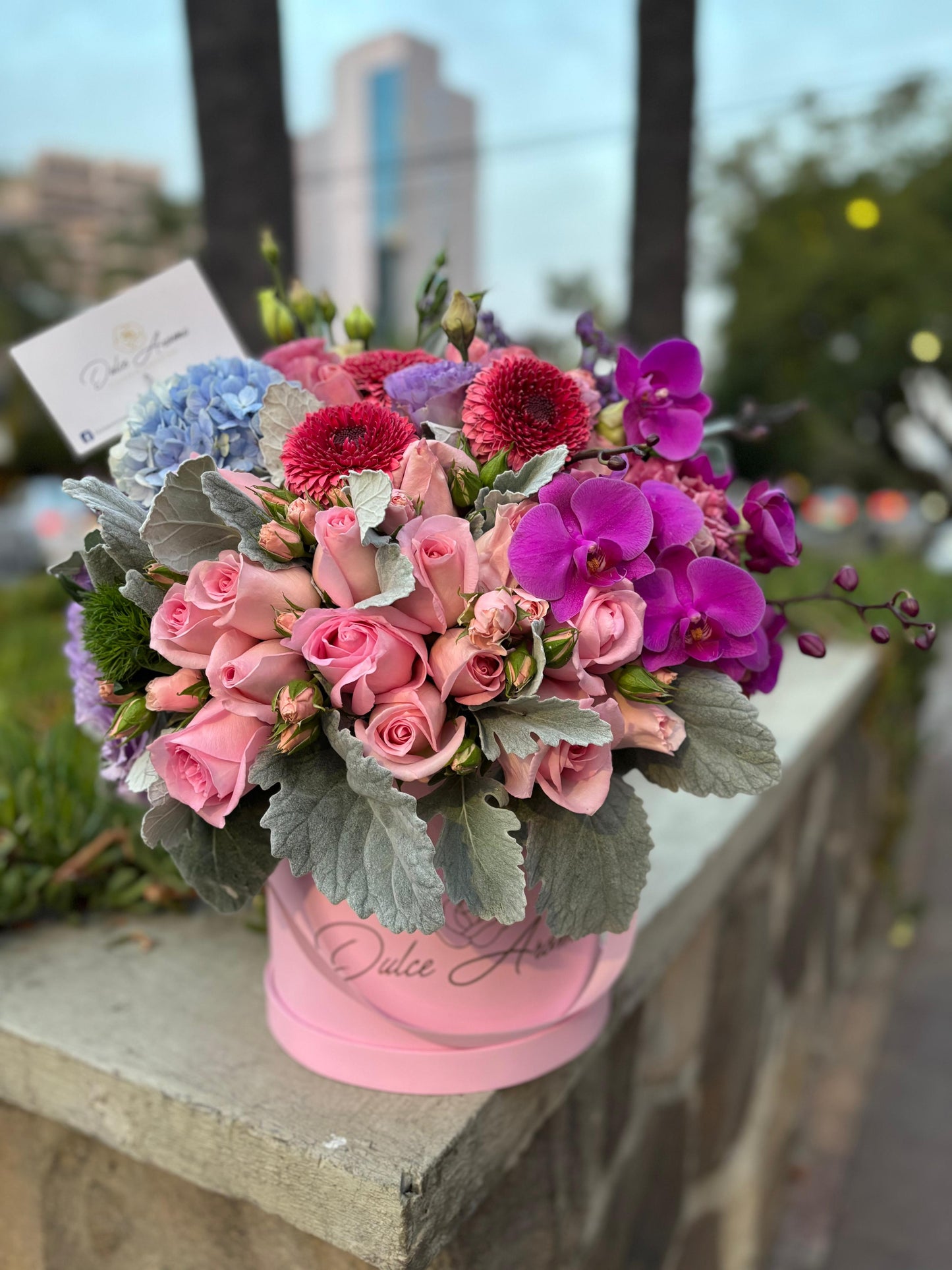 Diseño Media Esfera Colorfull