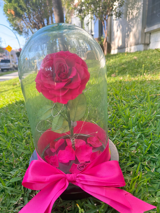 Rosa Eterna Fiusha Con Luz