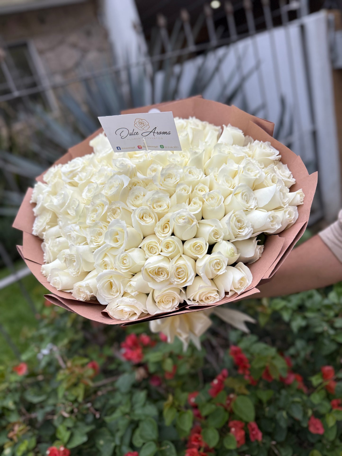 Ramo 100 rosas