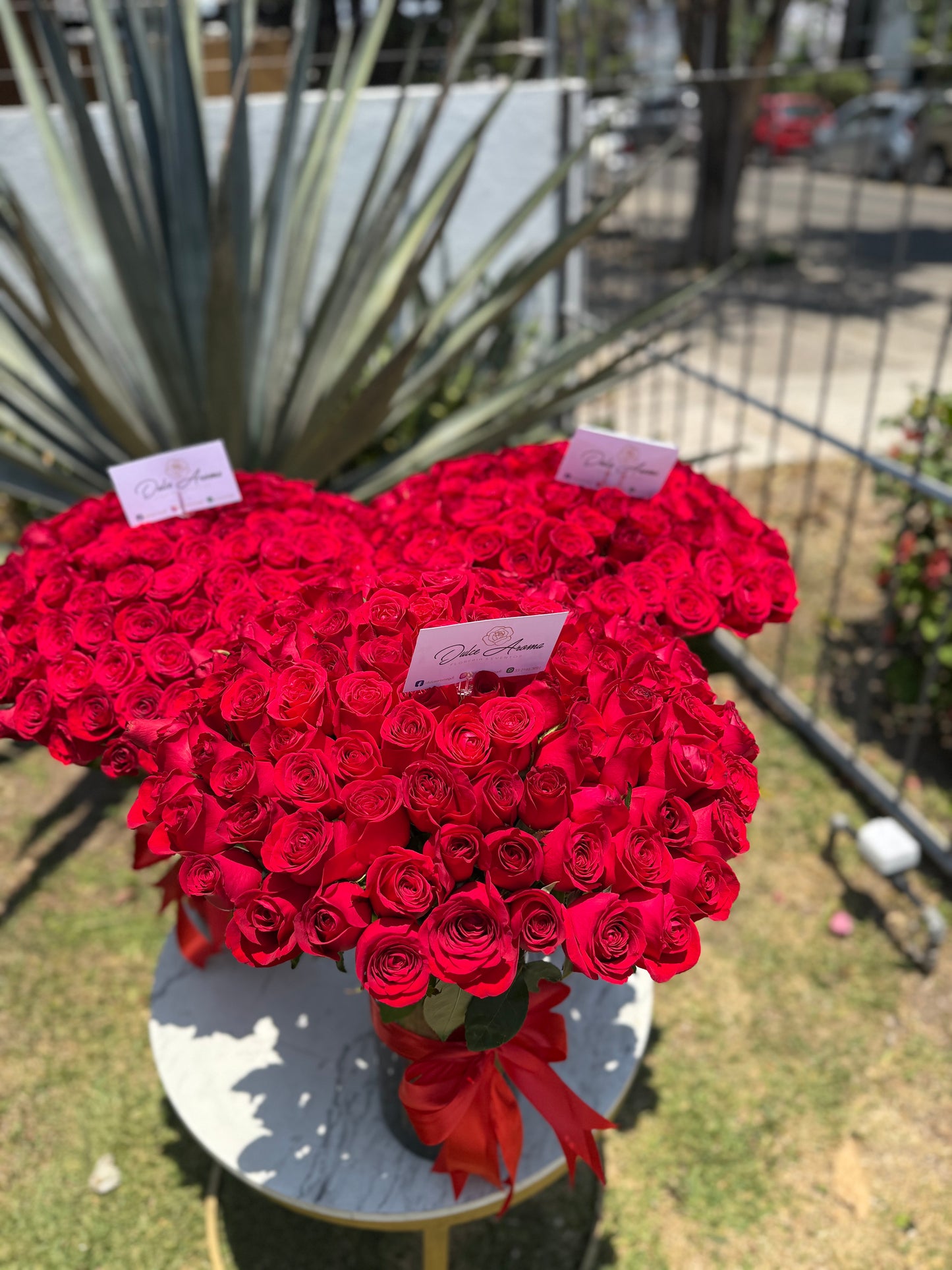 Florero 100 rosas