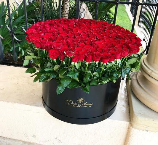 Caja Circular Jardin