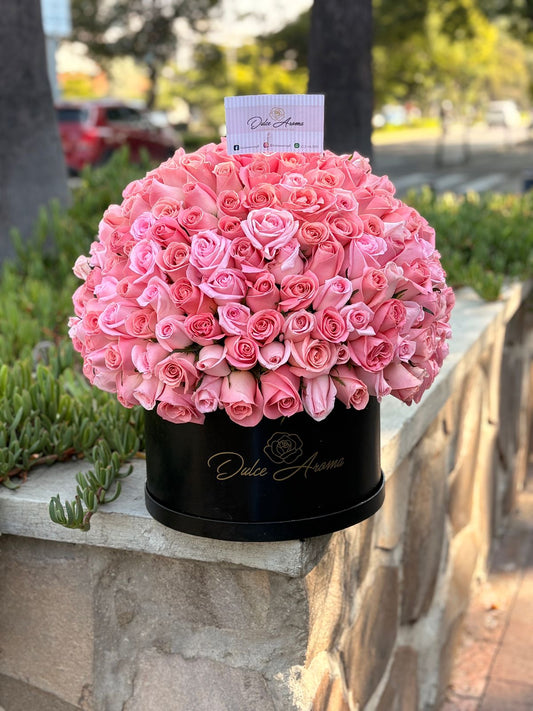 Caja Circular Esfera 200 Rosas