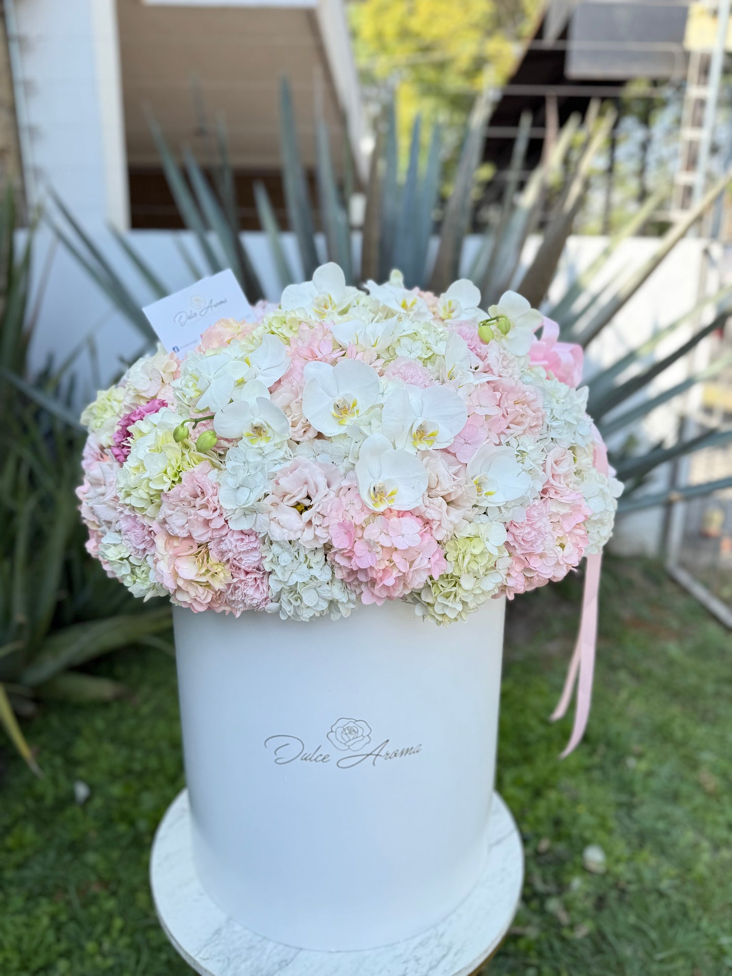 Caja Circular Jumbo Hortensias