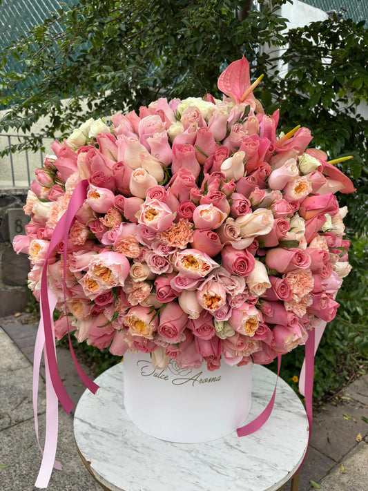 Cilindro Grande Inglesa