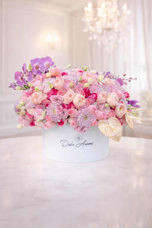 Caja Circular Inglesa