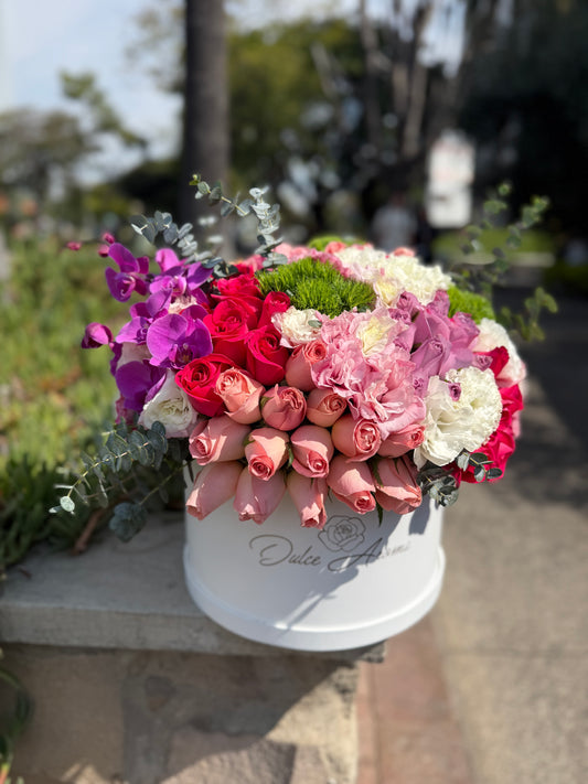 Caja Circular Media Esfera Jardín Prestige