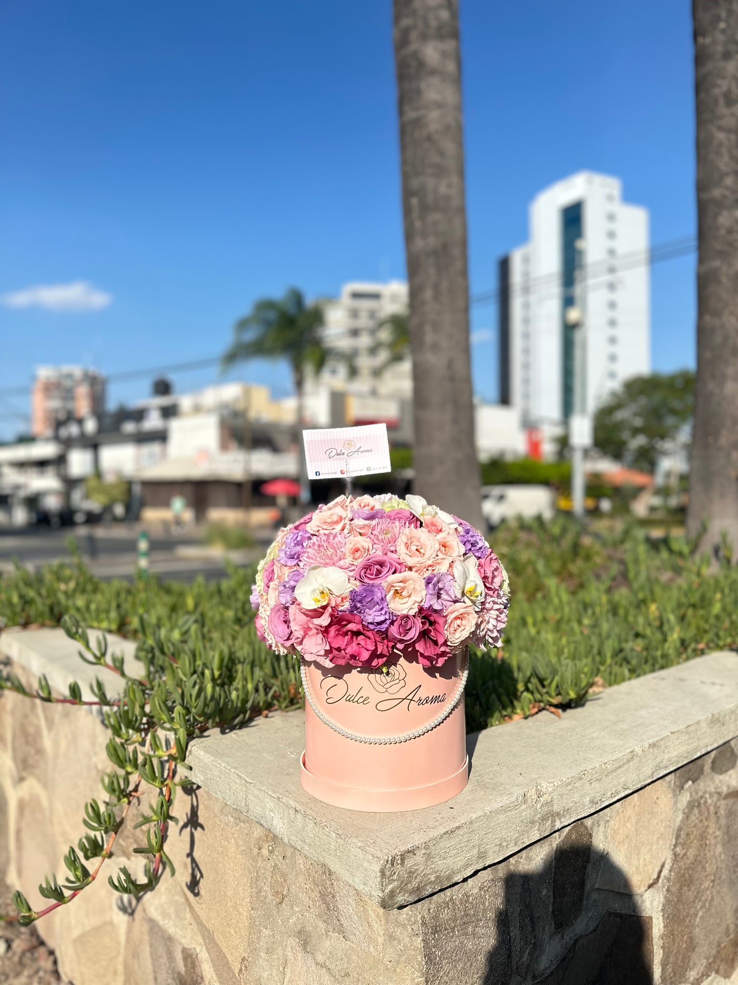 Esfera Princesa