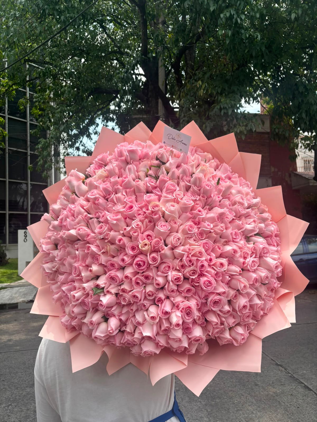 Ramo 400 rosas PROMO