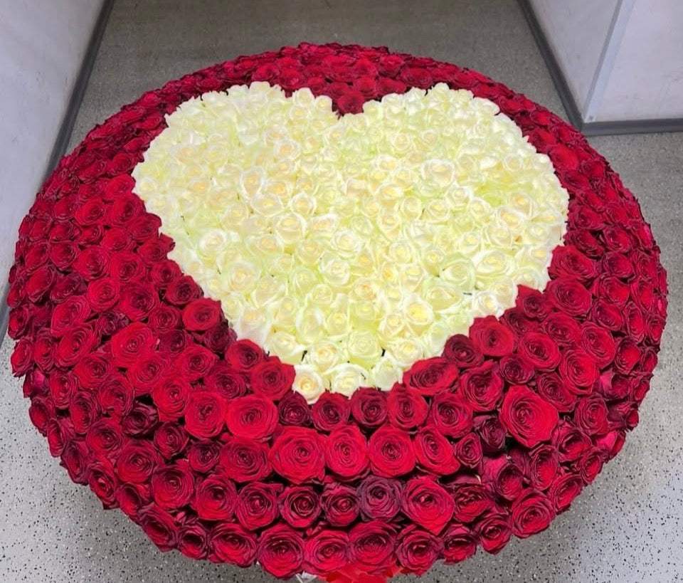 Caja Circular Gigante 600 Rosas