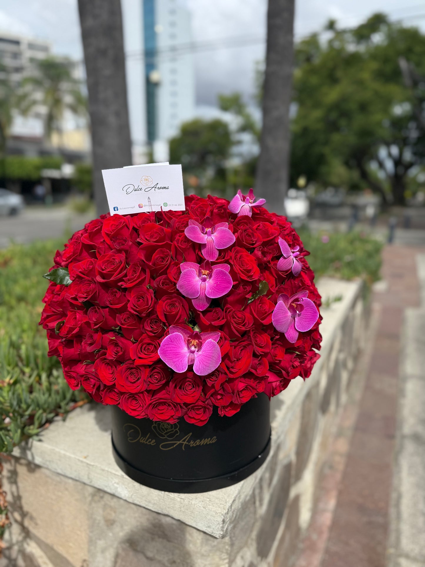 Esfera rosas y orquideas