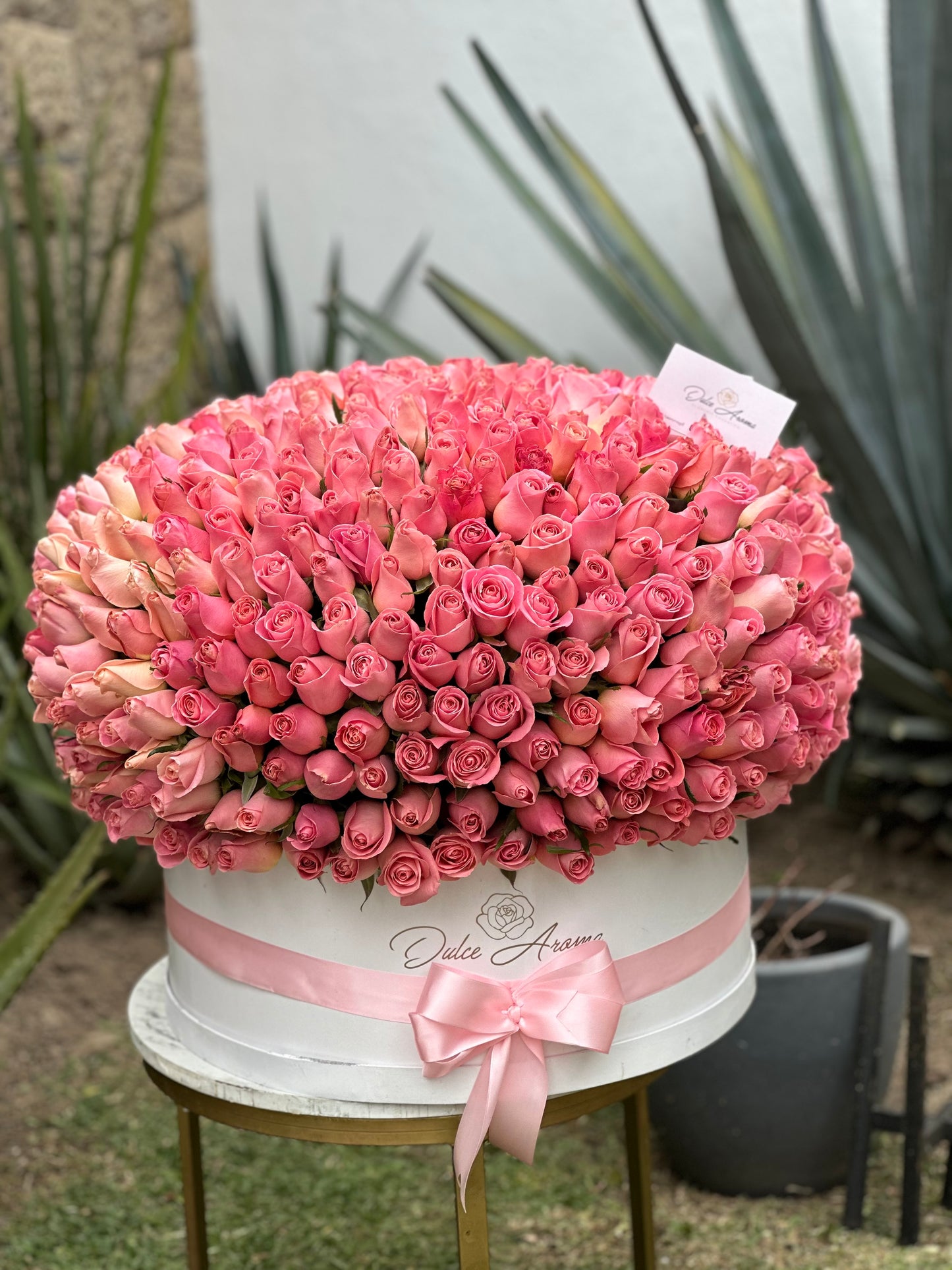 Esfera 1000 rosas Juntos Por Siempre