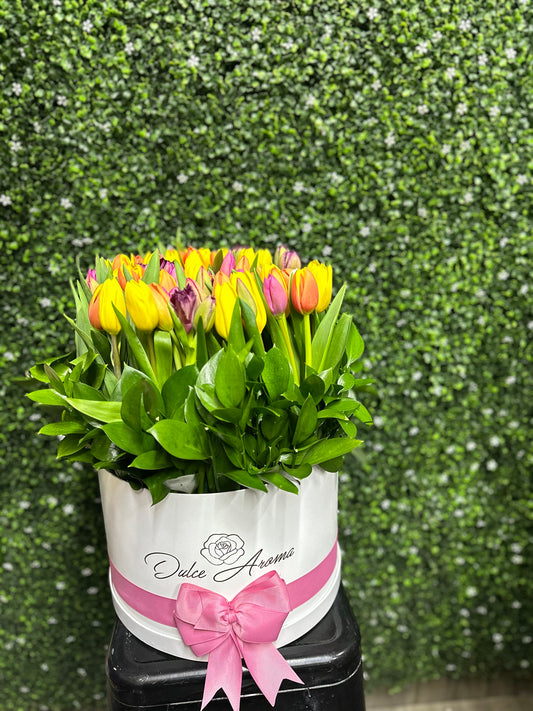 Caja Circular Tulipanes