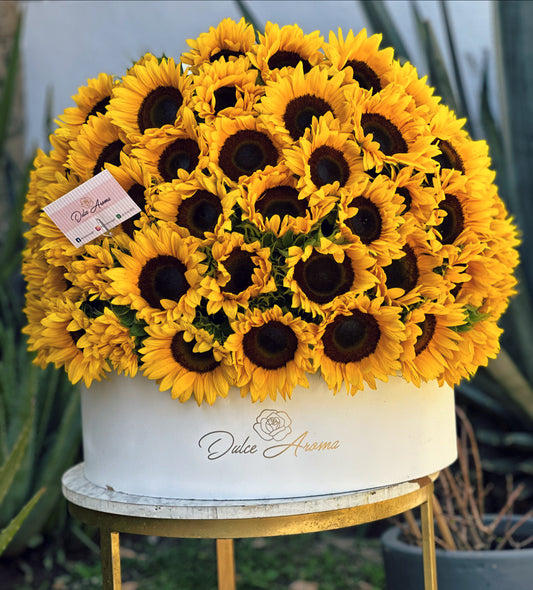 Caja Girasol