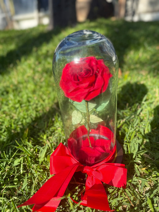 Rosa Eterna Roja Grande