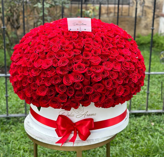 Esfera Red 500 Rosas