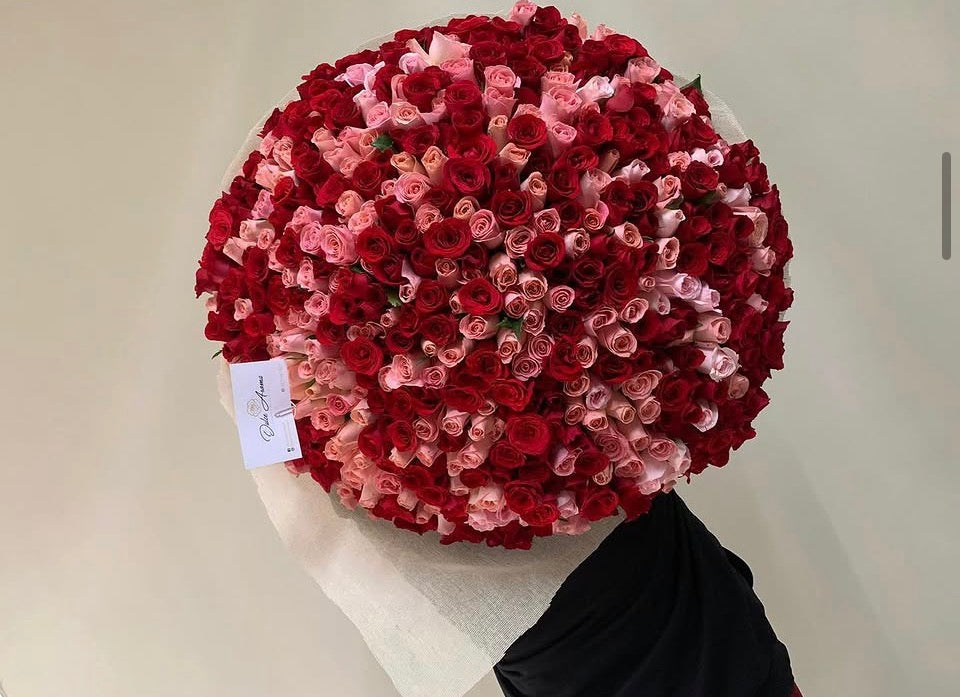 Ramo 500 rosas